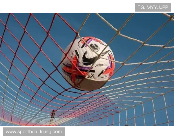 英超官方合作伙伴增至12家 彪马取代耐克成比赛用球新供应商